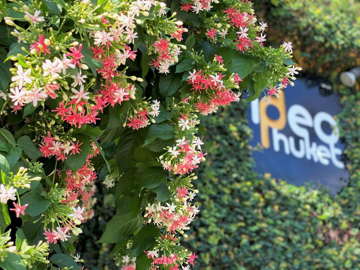 Ideo Phuket - Sha Extra 酒店 3*